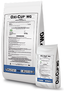Oxi-Cup-WG.png